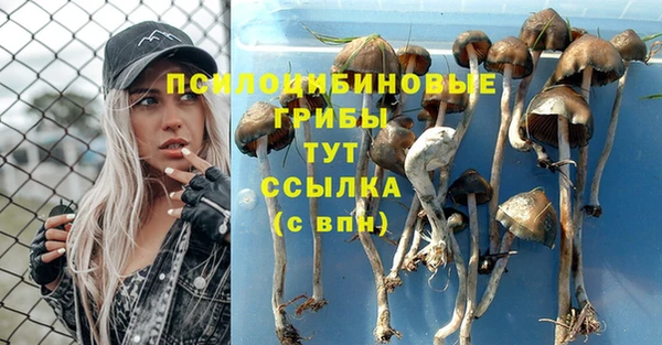 мяу мяу мука Ельня